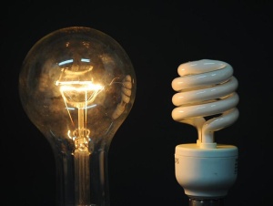 bulb