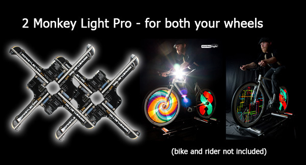 monkey light 1