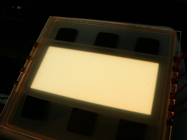 panasonic oled