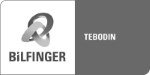 teb1.jpg